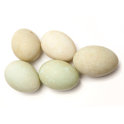 Duck Eggs