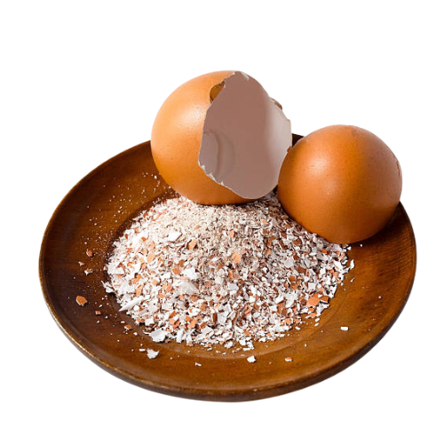 Eggshell Powder