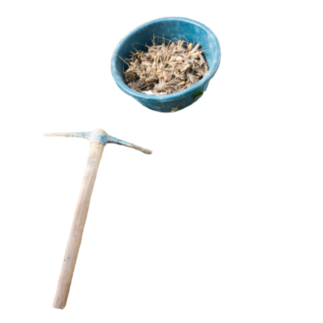 Hoe