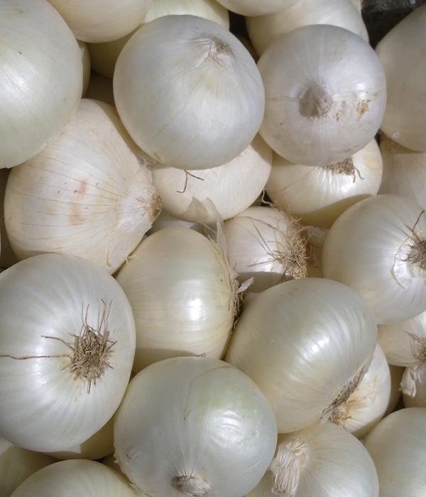 Onion