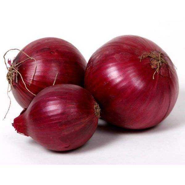 Onion