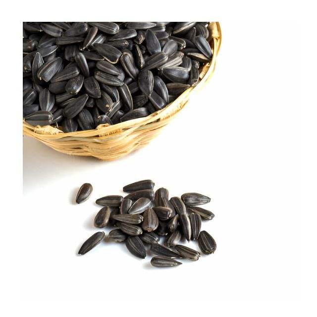 Wholesale Raw Dried Sunflower Seeds for Bird & Poultry Nutrition