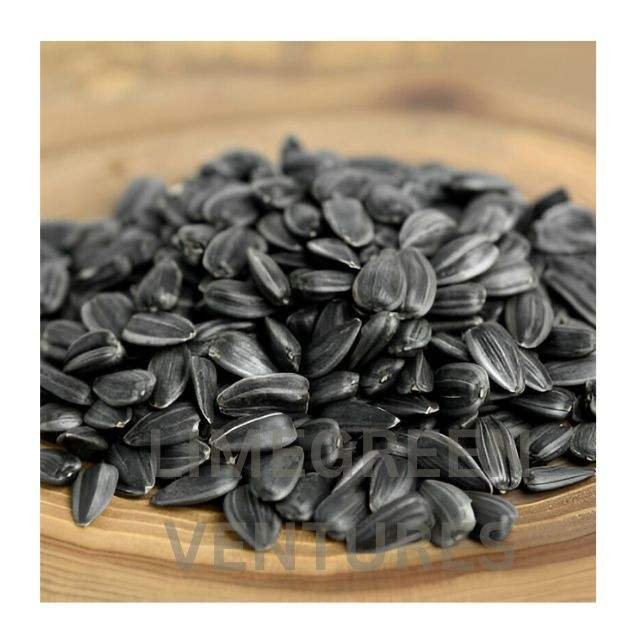 Bulk Dried Sunflower Seeds for Oil Pressing and Industrial Use