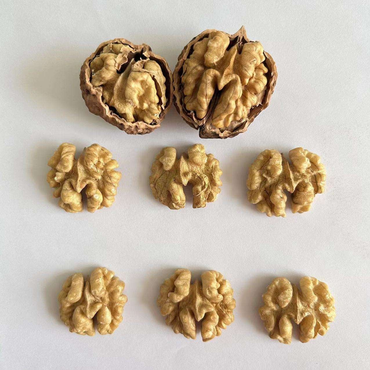 Walnut Kernel