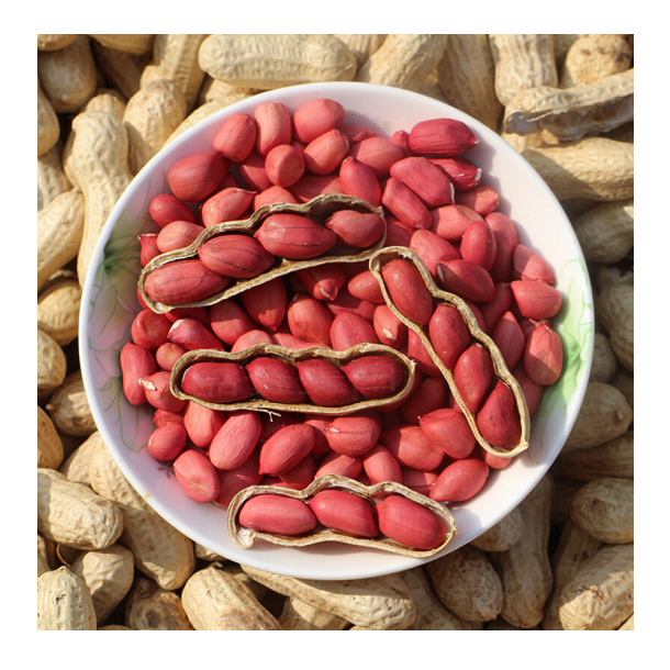 Made in China Rich Protein Red Skin Peanuts Organic Raw Peanuts Kernel Wholesale