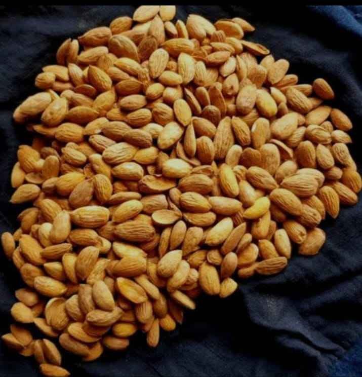 Organic Gurbandi Almonds