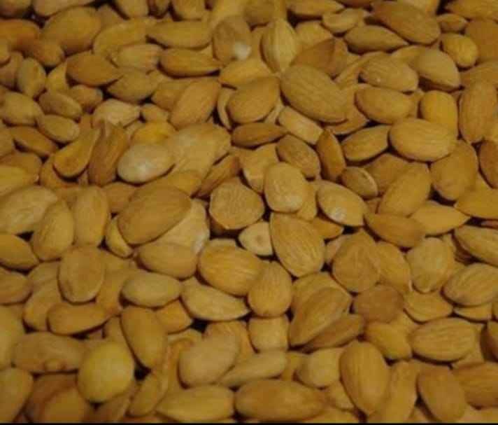 Organic Gurbandi Almonds