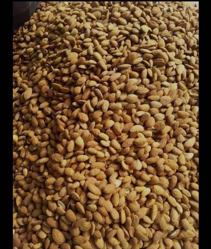 Organic Gurbandi Almonds