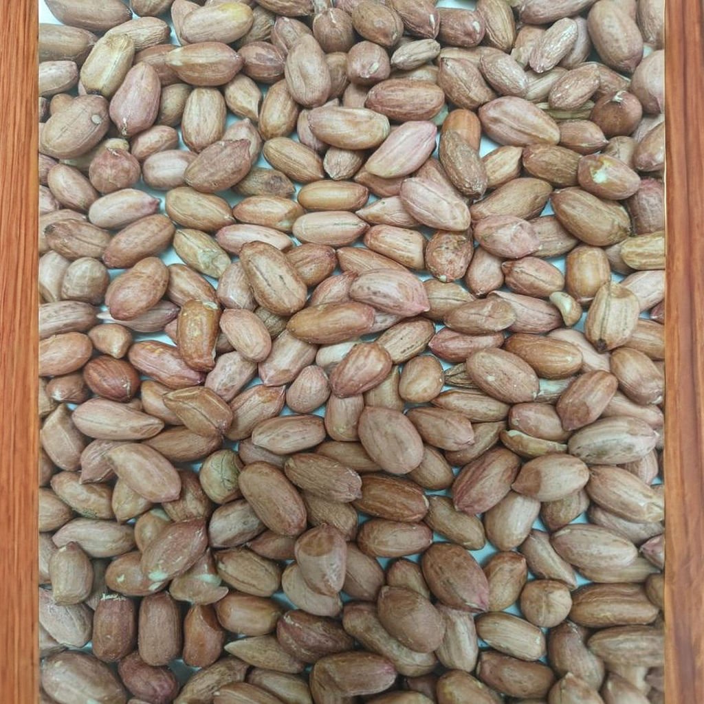 Premium Raw Indian Peanuts