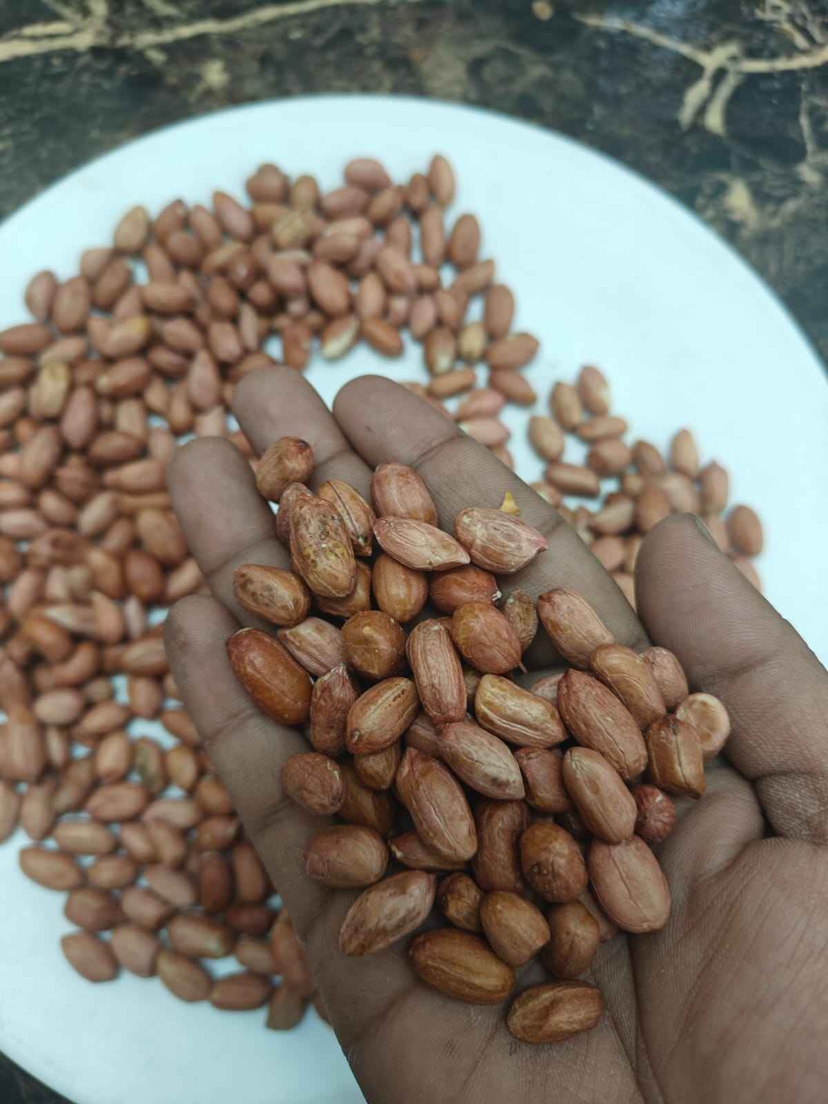 Premium Raw Indian Peanuts