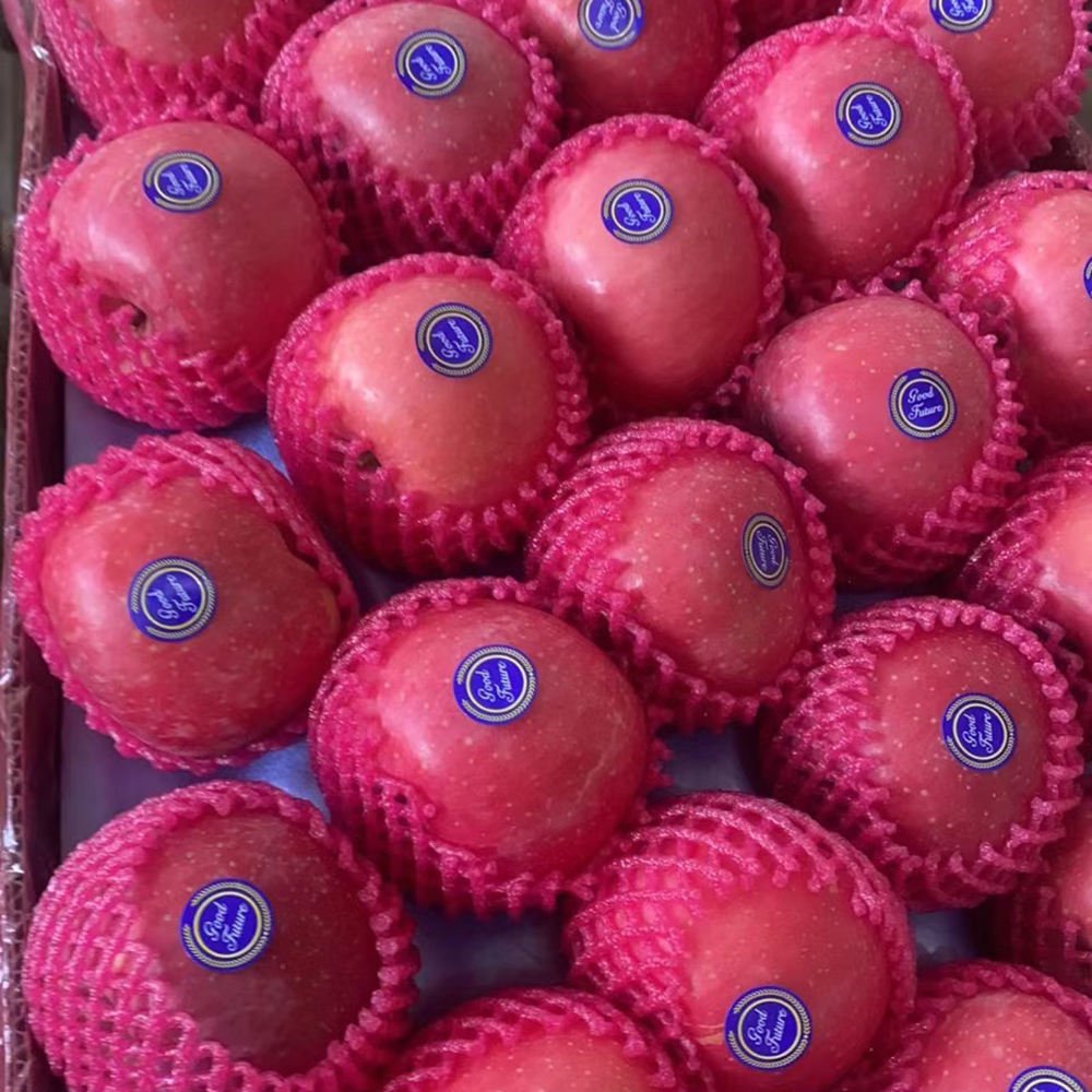 Wholesale Bulk Fresh Fruits Sweet Fuji Apple