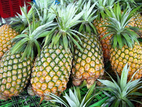 Fresh Pineapple , 100% Natural From Vietnam