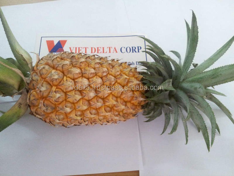 Fresh Pineapple , 100% Natural From Vietnam