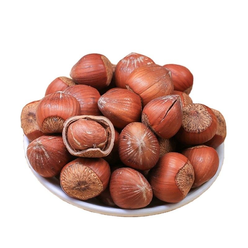 Chinese Suppliers Roasted Hazelnut, Cobnut/Dry Hazelnuts for Sale