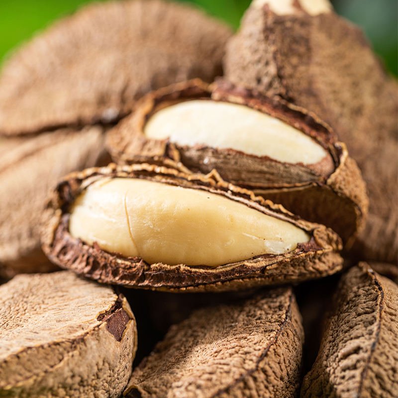 Roasted Salted Macadamia Nuts with Easy-Crack Shells In-Shell Ready-to-Eat Brazil Nuts