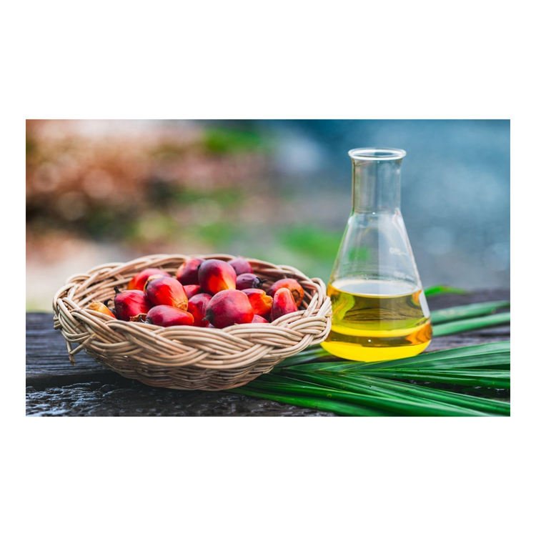 Palm Oil Stearin – 100% Pure Refined Food Grade