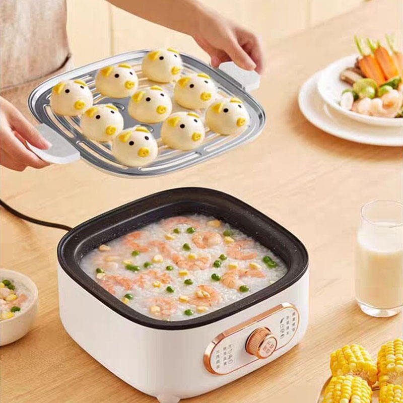 Electric Food Steamer 