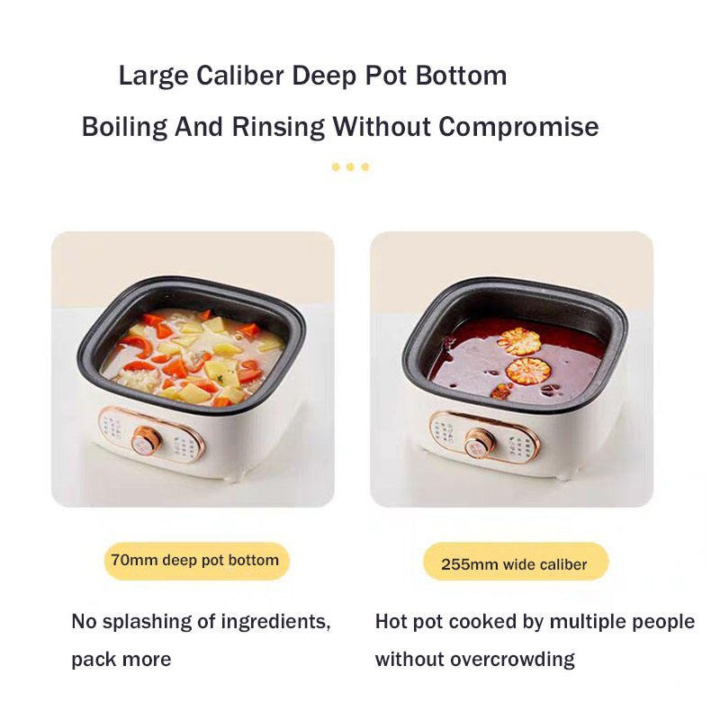 Electric Food Steamer 