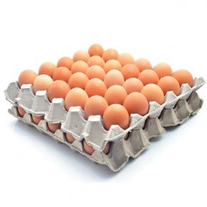 Fresh Table Eggs
