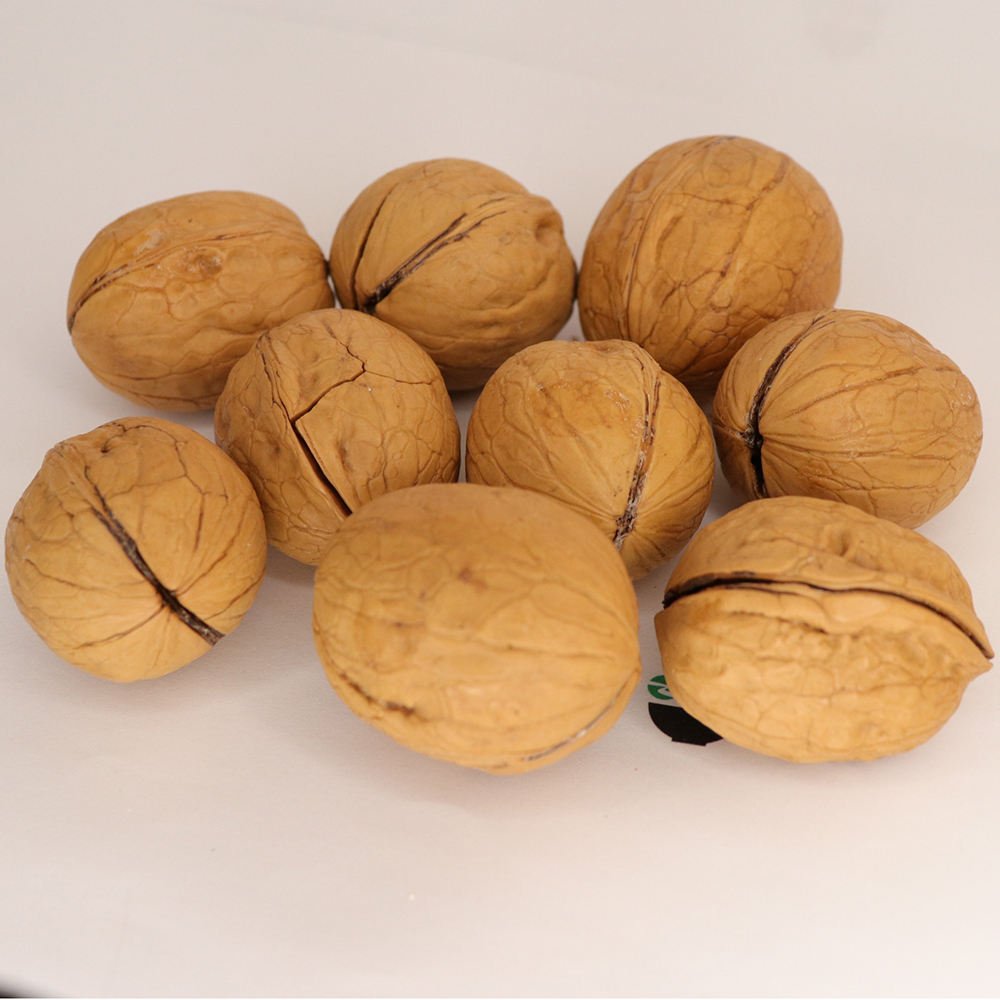 walnuts (shell & without shell)