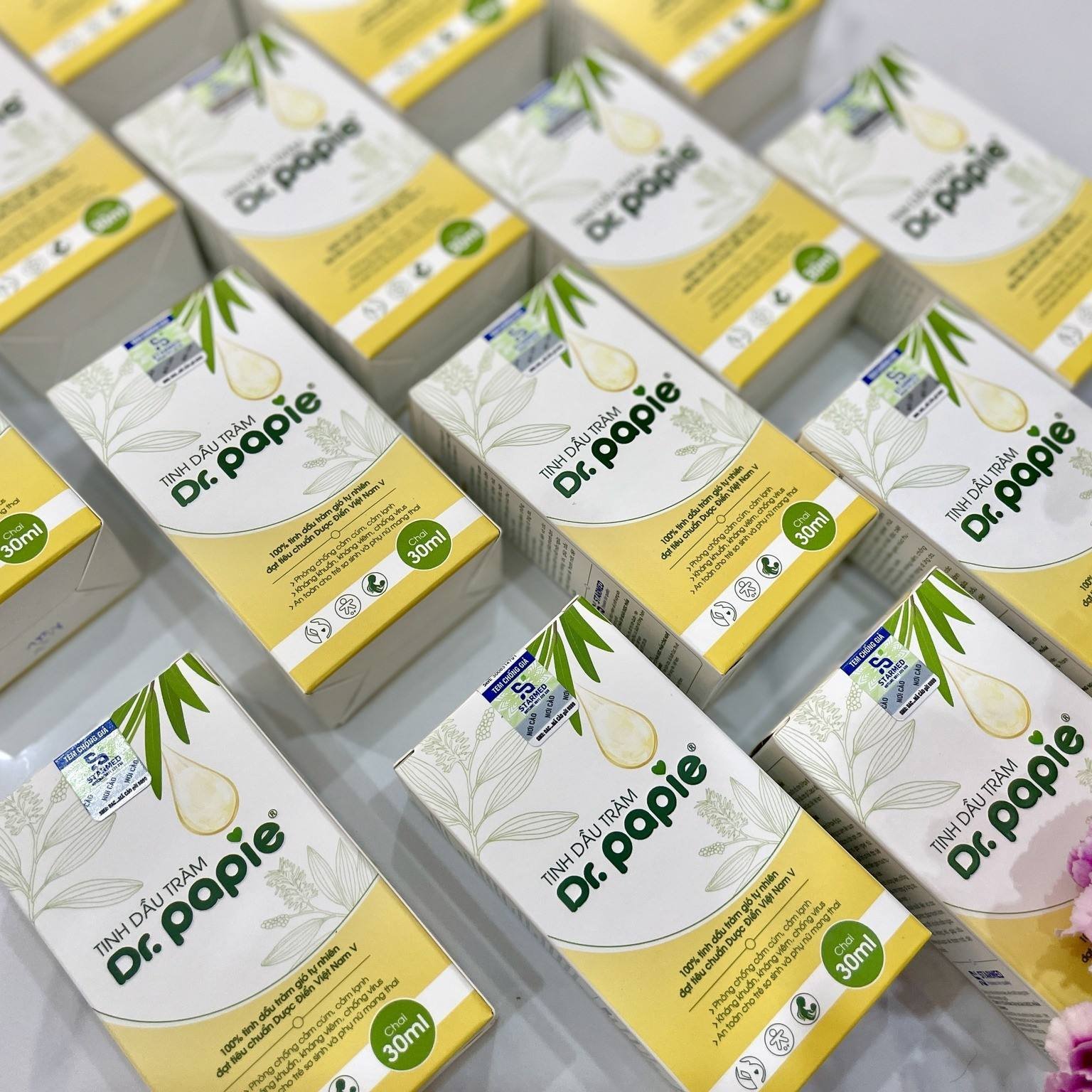 Pure Natural Organic Cajeput Essential Oil