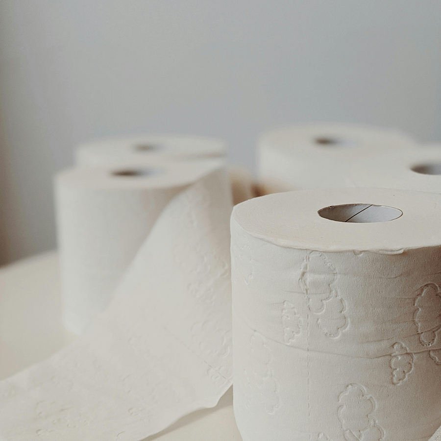 Customized Cheap Embossed Virgin Wood Pulp Toilet Tissue Paper