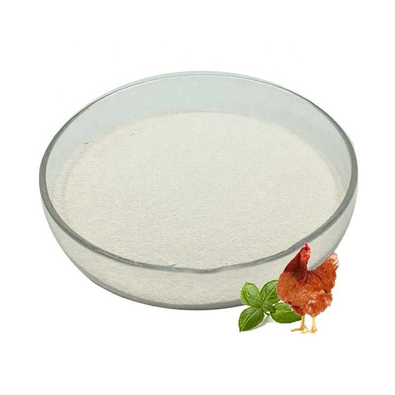 Animal Feed Grade Broiler Chicken Premix Booster Feed with Oregano Oil Powder for Poultry