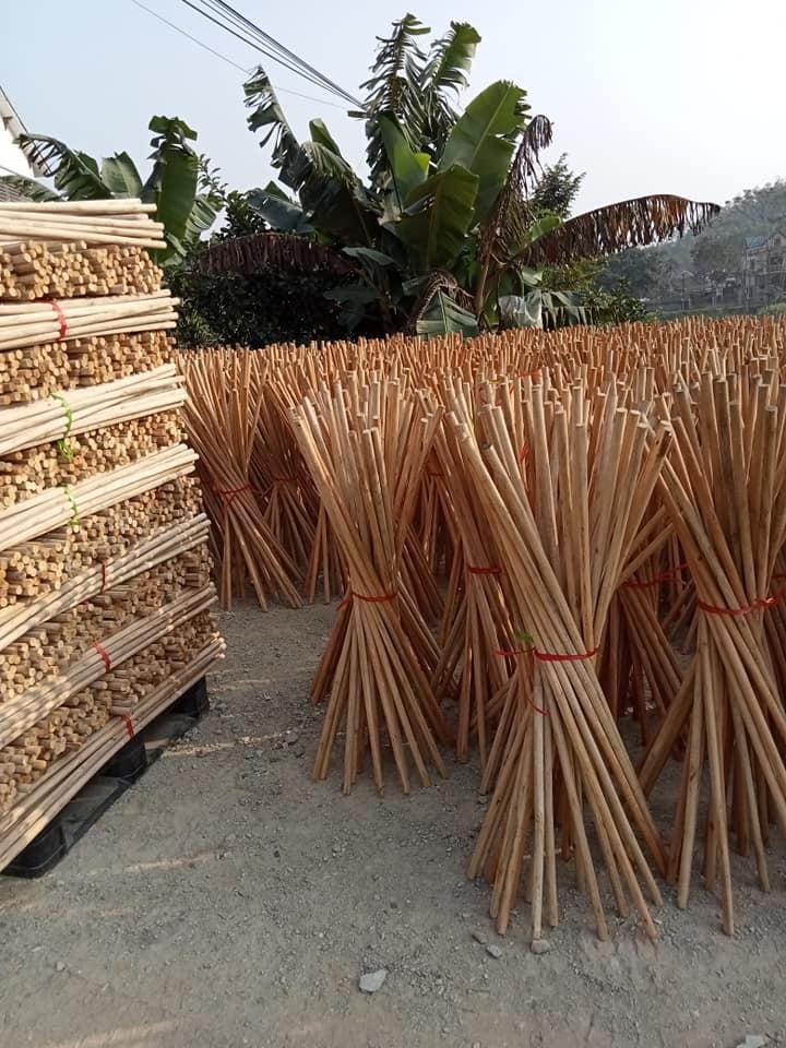 GIA NGUYEN CRAFT Eucalyptus Wooden Broomsticks Straight and PVC Coated Durable Broom Handles Model SR-WBS1215-01 for Home Use