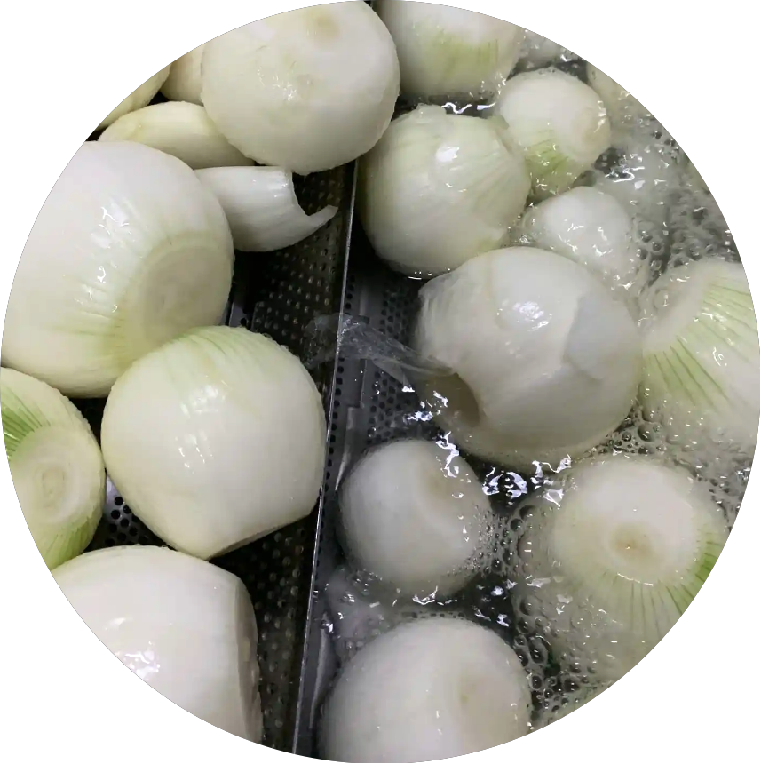 Factory Export Hot Sale 2025 New Crop IQF Peeled Frozen Red /White Onion Balls Ball Cheap Price Customized Packing Bulk Packing