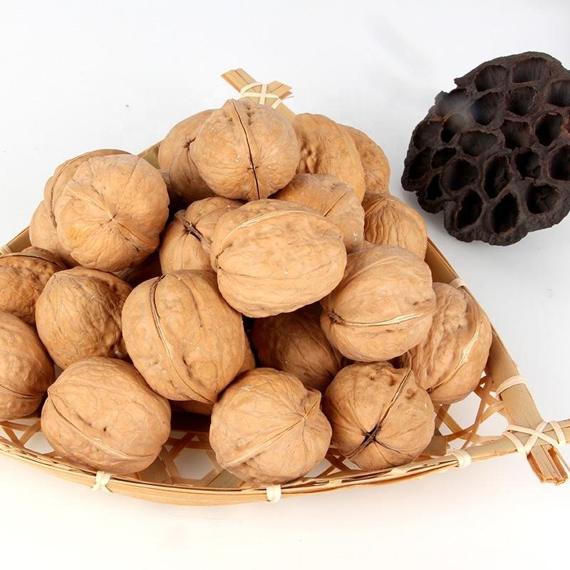 Walnut Food Grade 2024 Fresh Dried Shelled inner Mongolia Kernels in Bulk