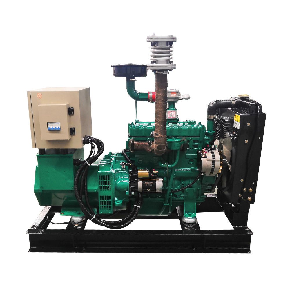 10 kW 15 kW 20 kW 25 kW 30 kW 40 kW 50/60 HZ Natural Gas Generator Set