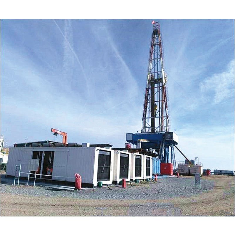 Factory Price 40kVA 50kVA 60kVA Industrial Grade Electric Gas Generator Silent Biogas LPG Generator