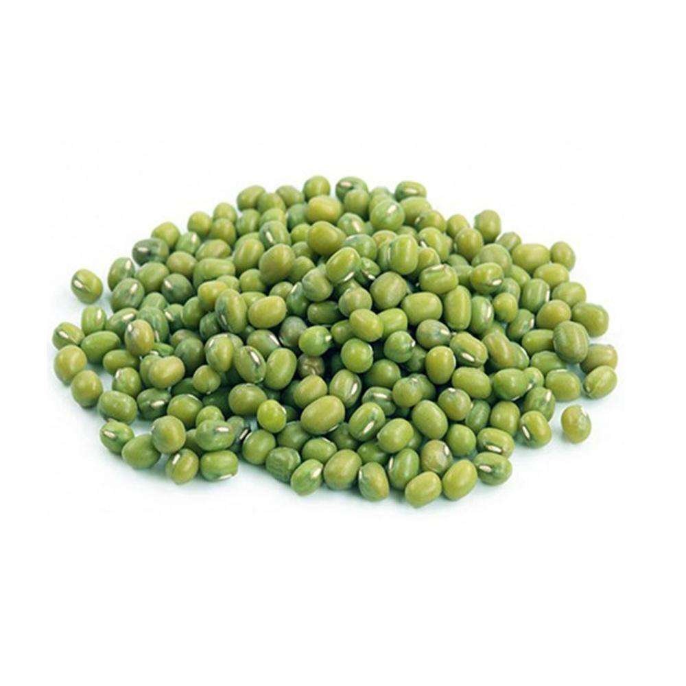 Organic Green Mung Beans High-quality Hand Picked Fresh New Crop Supply Dried Style Wholesale Export Offer in Bulk Quantity