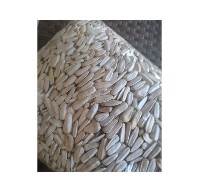 Bulk Quantity Supplier of Best Quality Premium Grade Dried Raw White Sunflower Seeds 25kg in PP/Craft Bag Packaging by El Farida