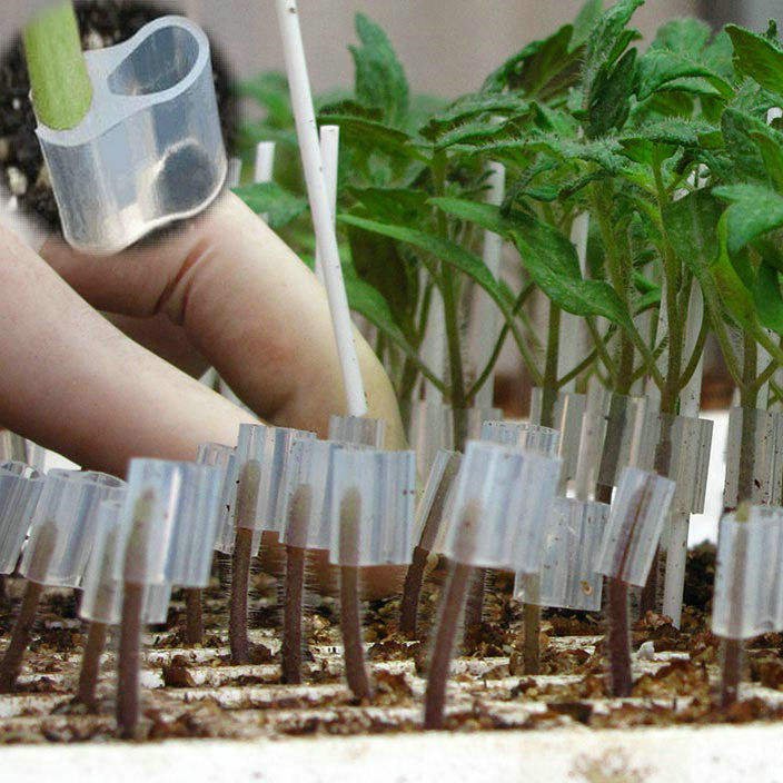 Factory Supply Agricultural Use Silicone Rubber Grafting Clips