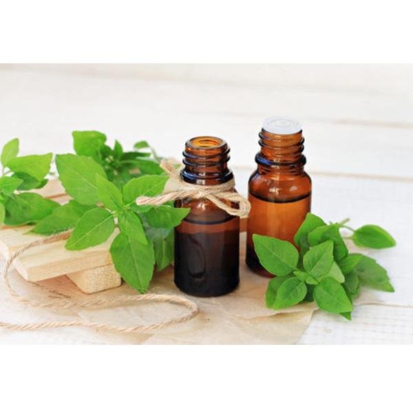 Holy Basil Oil