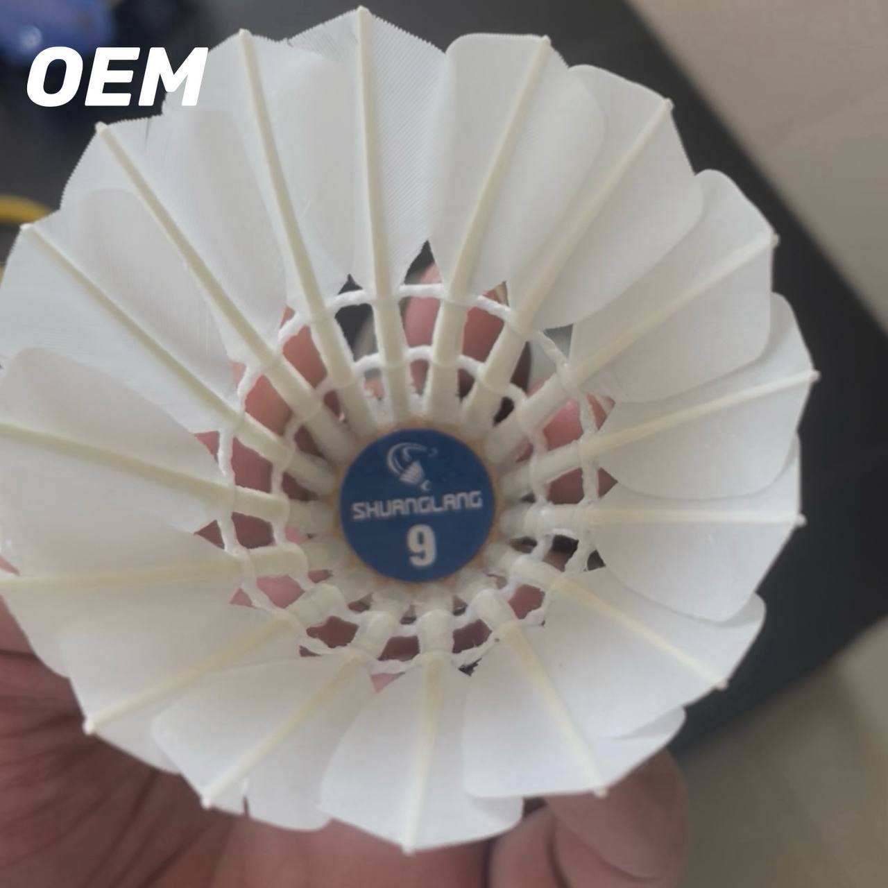 Shuanglang OEM Fee, Exclusive to Fans.badminton