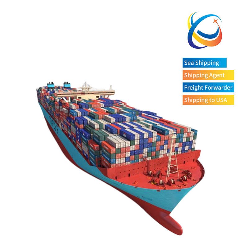 FCL DDP Sea Shipping Agent From China to North America Door-to-Door Service