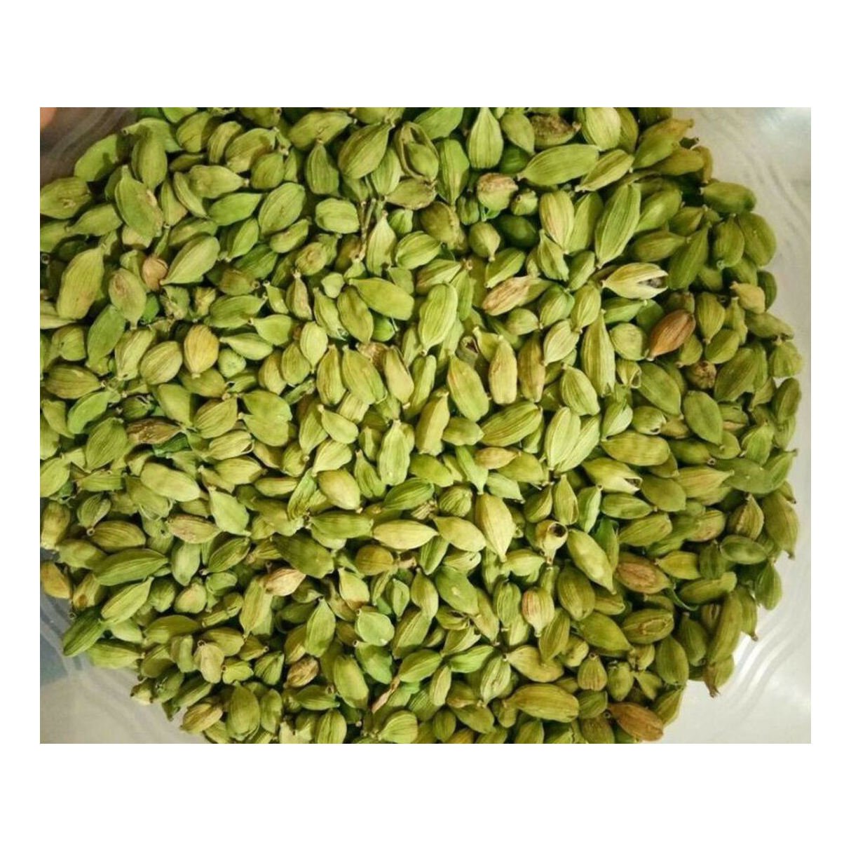Green Cardamom Fresh Raw 100% Natural High Quality Custom Packaging OEM/ODM Service Available in Bulk Wholesale