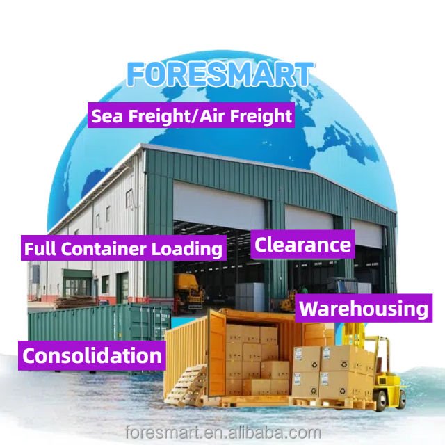 20ft 40hq Lcl Fcl Cargo Train Railway Shipping Agent Transport Ddp Logistics Services Railway Freight Forwarder China to Europe