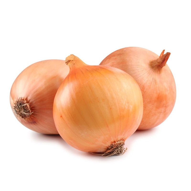 Fresh Yellow Onion Exporters in China