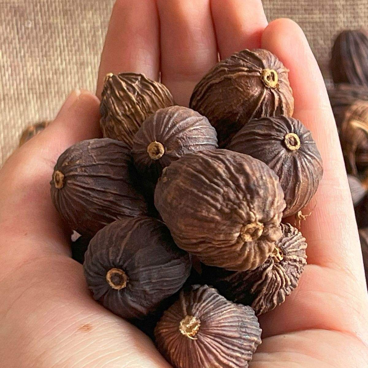 Amomum Tsaoko