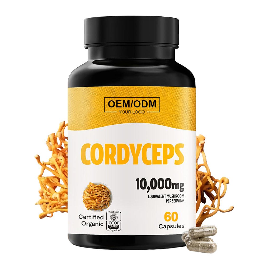 OEM Cordyceps Sinensis Mushroom Capsules Brain Health Supplements Extract Capsule for Adults Not for Pregnant Women