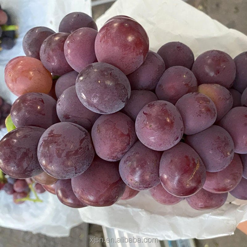 Fresh Hutai No.8 Grapes Bulk Supply, High Yield Quality Grapes From Professional Base