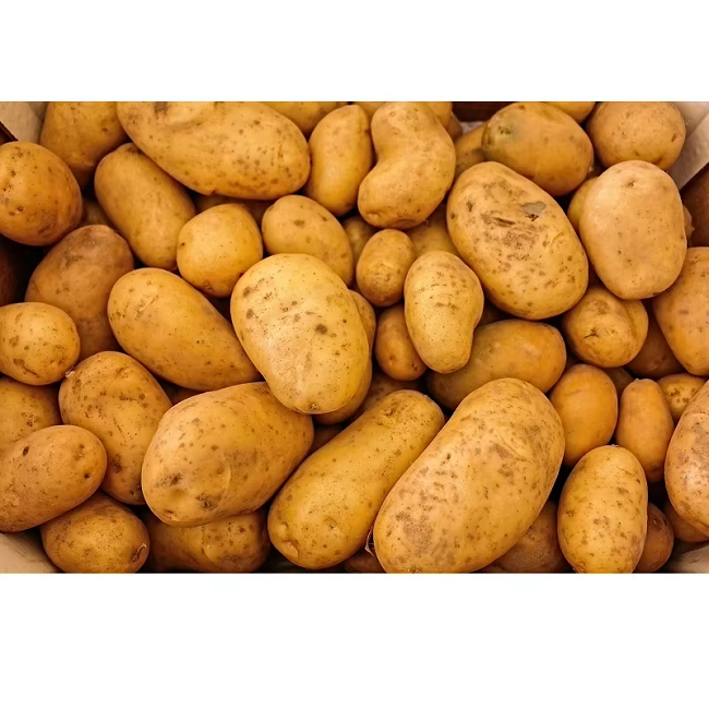 Pure Natural Fresh Potatoes High Quality Farm Produce for Curry Chips Baking Snacks Cooking and Meals