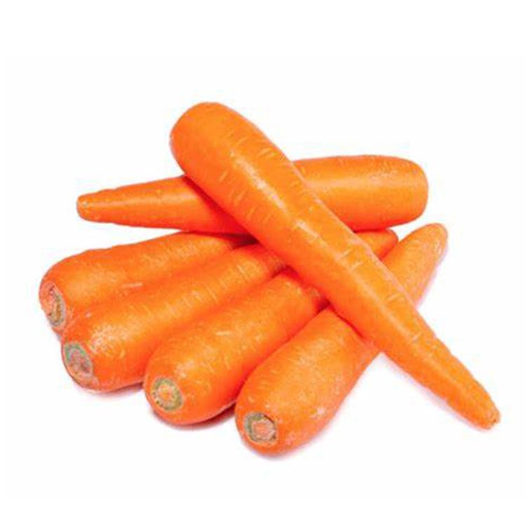 Wholesale Fresh Vegetables and Fruits Carrot by China Manufacturer Supplier