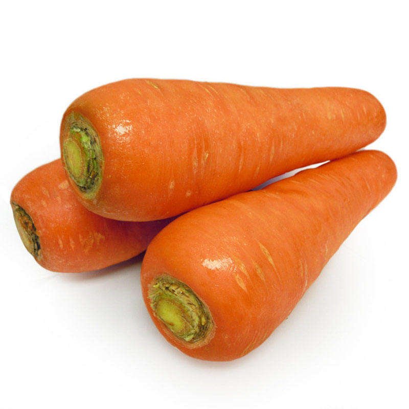 Chinese Supplier Fresh New Season Vegetables Wholesale New Crop Fresh Carrot From in China