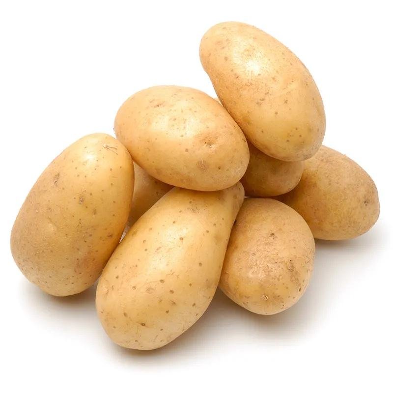 Potato Fresh Sweet Potatoes High Quality Cheap Price Professional Export Wholesalers Fresh Potato