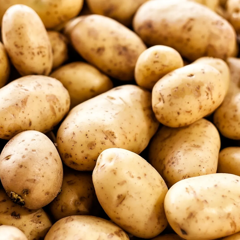 Fresh Potato New Crop Vegetables Wholesale Potato Prices for Export Fresh Chinese Factory Supplier Fresh Onions and Potato