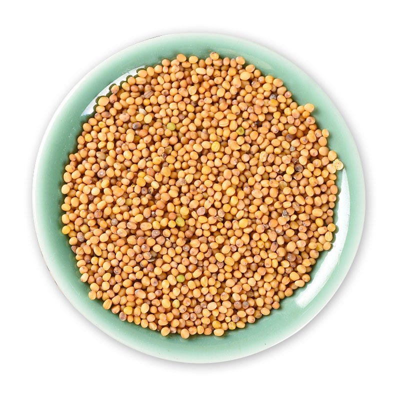 TONGJIN High Quality Yellow Mustard Seed for Cooking Reliable Food Mustard Seeds in Bulk